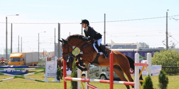 Curs Monitori / Curs IGEQ / Reciclare pentru Licenta 2017