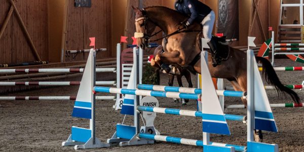 Cupa Napoca Sport Horse Salicea – Cluj